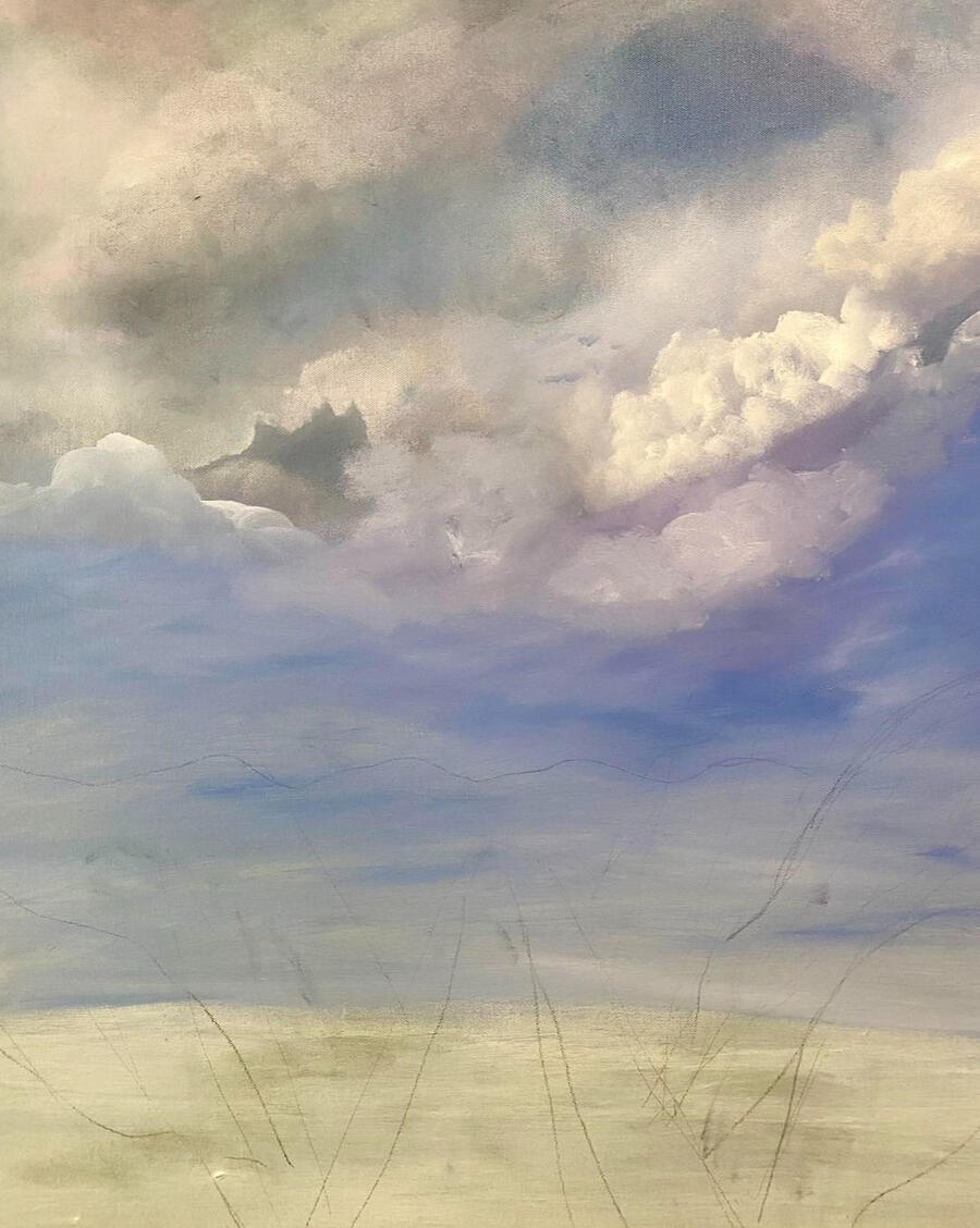 LAVENDER FIELDS