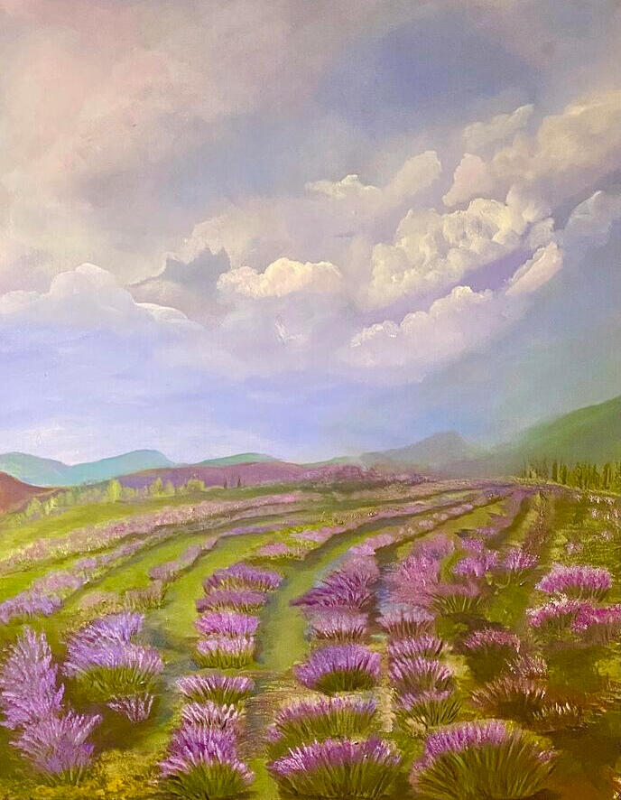 LAVENDER FIELDS